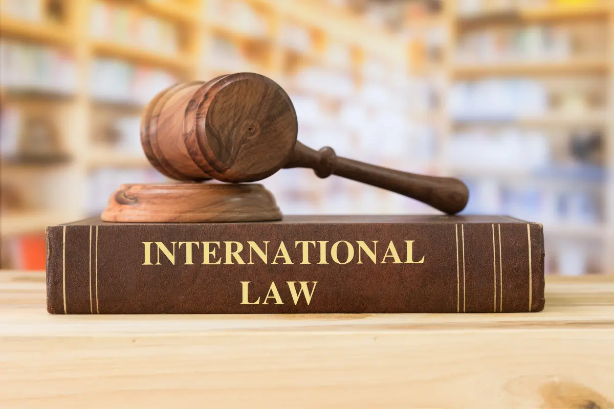 International lawyers